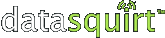 Datasquirt Logo